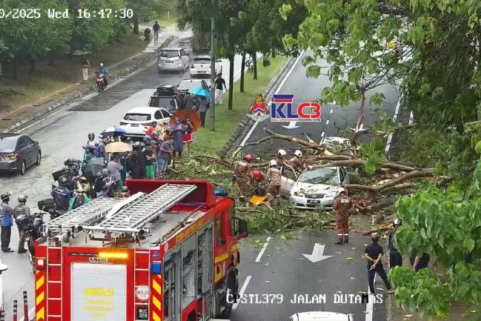 Sebelum pokok seterusnya tumbang, DBKL meletakkan 200 sensor untuk mengawal pokok yang berbahaya