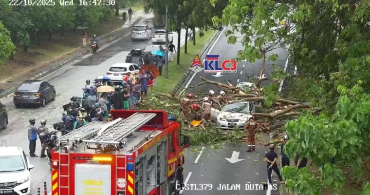 Sebelum pokok seterusnya tumbang, DBKL meletakkan 200 sensor untuk mengawal pokok yang berbahaya