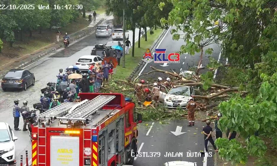 Sebelum pokok seterusnya tumbang, DBKL meletakkan 200 sensor untuk mengawal pokok yang berbahaya